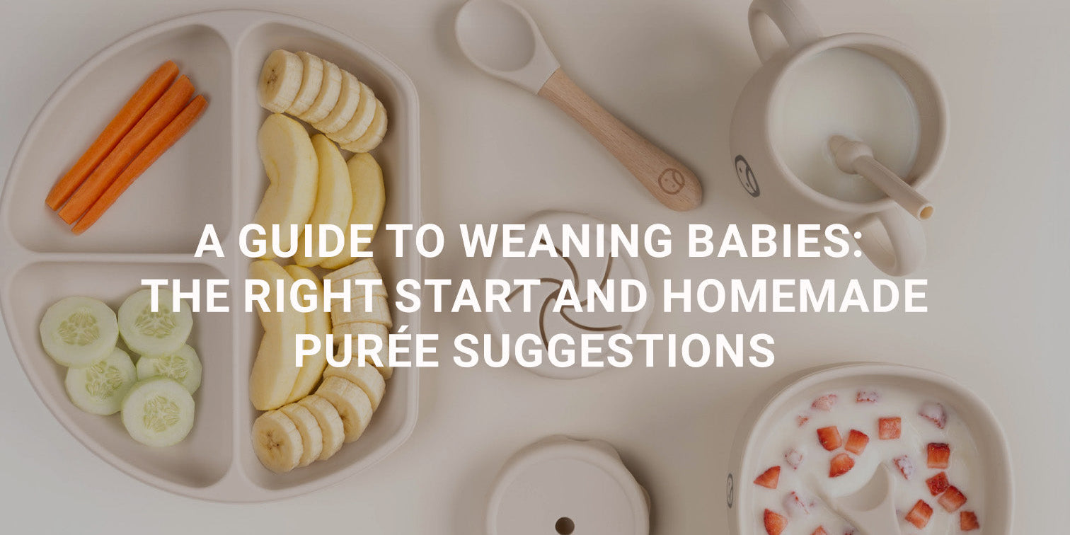 A Guide to Weaning Babies: The Right Start and Homemade Purée Suggestions