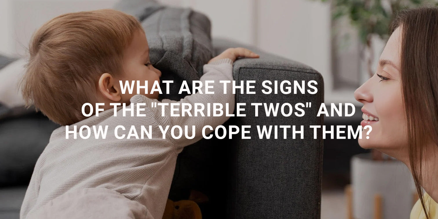 What Are the Signs of the "Terrible Twos" and How Can You Cope With Them?