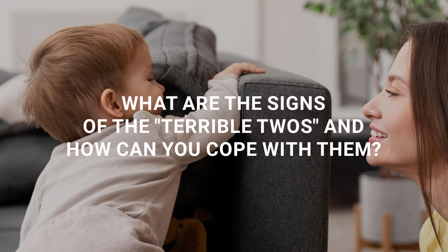 What Are the Signs of the "Terrible Twos" and How Can You Cope With Them?