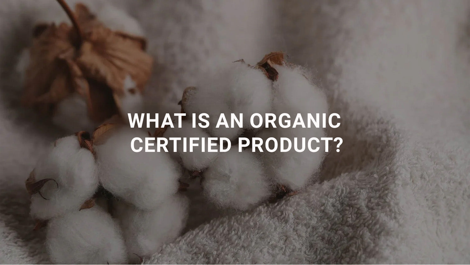 What Is an Organic-Certified Product? What Are the Types of Organic Certification?